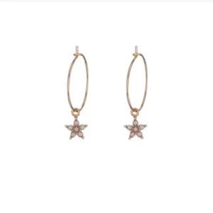 Argolas Alisia Prata Dourada Estrela AL4913