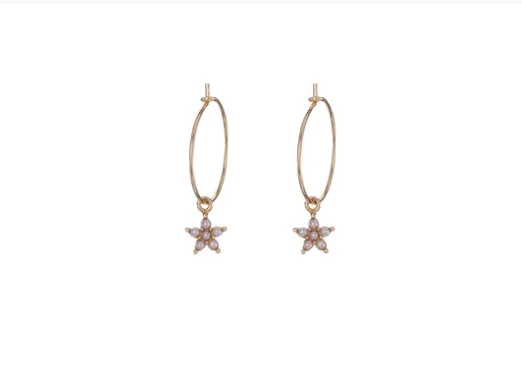 Argolas Alisia Prata Dourada Estrela AL4913