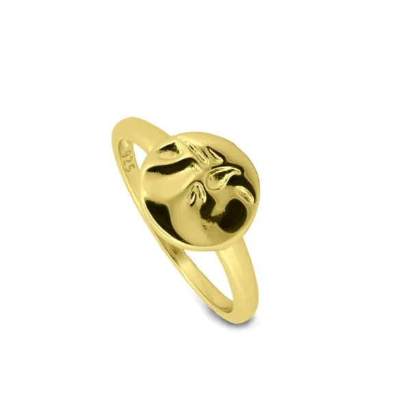 Anel Inês Rochinha Signal IR.AN1078D-12