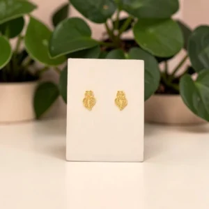 Brincos Sentimento Coração Viana Mini BRIP9255566