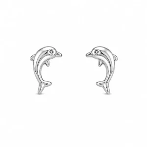 BR2028051 Brincos Golfinho