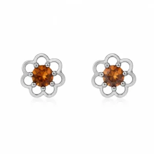 BR24296110 Brincos Prata e Âmbar Cognac