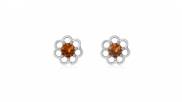 BR24296110 Brincos Prata e Âmbar Cognac