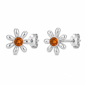 BR24298110 Brincos Prata e Âmbar Cognac
