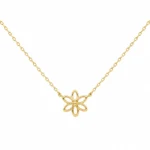 Dourado