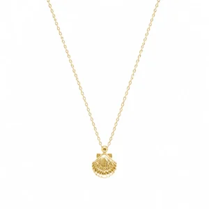 CL2376407-2 Colar Prata Dourada Concha Pequena PF3359D